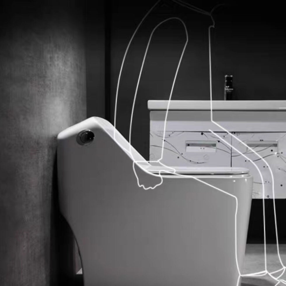 Modern Siphon Jet Toilet Bowl Floor Mount Flush Toilet with Toilet Seat