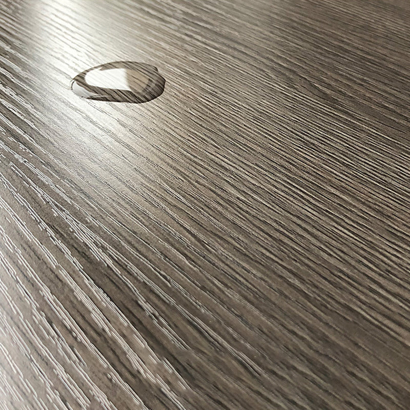 Contemporary Bookcase Closed Back Vertical Bookshelf with Doors