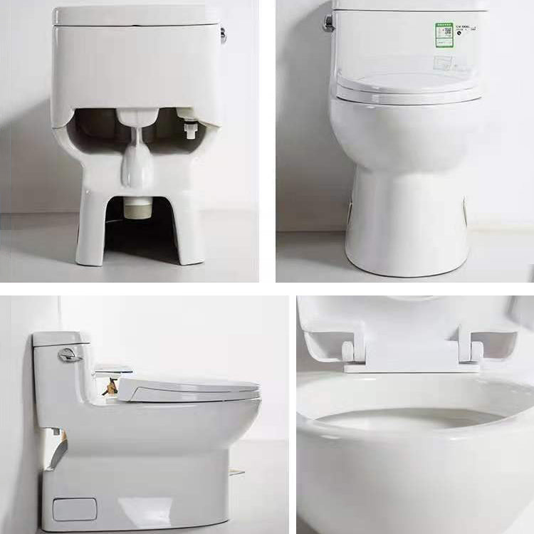 Modern Ceramic Siphon Jet Toilet Bowl Floor Mount Flush Toilet with Toilet Seat