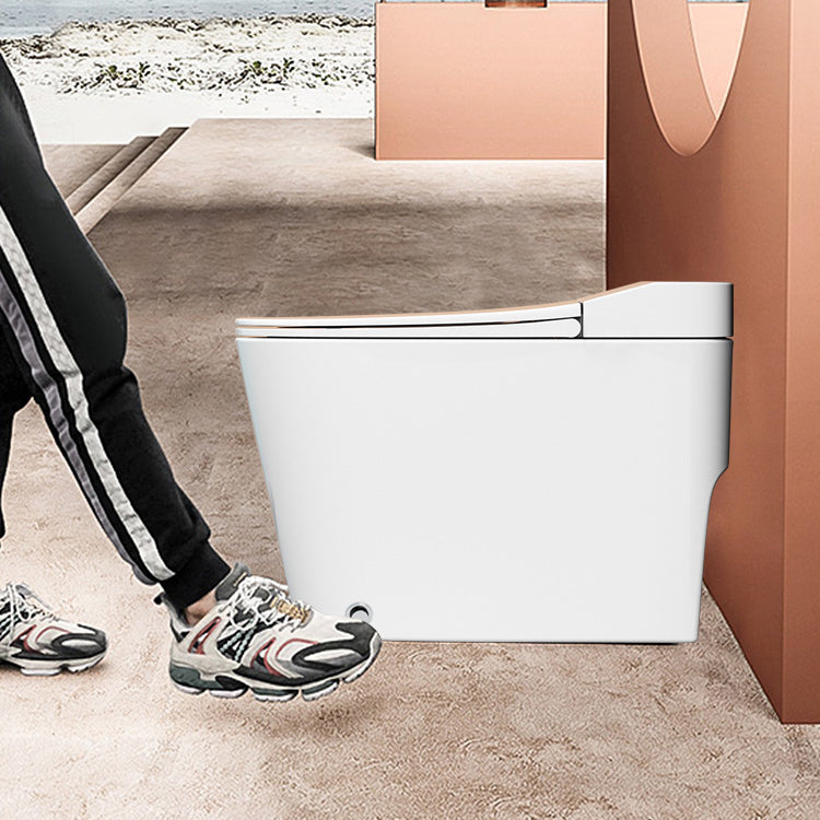 Modern Siphon Jet Toilet Concealed Tank Flush Toilet with Toilet Seat