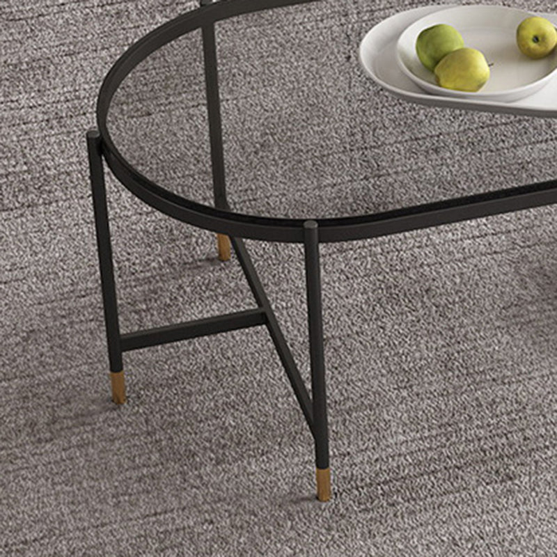 Contemporary Elliptical Glass & Slate Coffee Cocktail Table with Storage Shelf