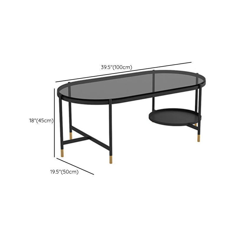 Contemporary Elliptical Glass & Slate Coffee Cocktail Table with Storage Shelf