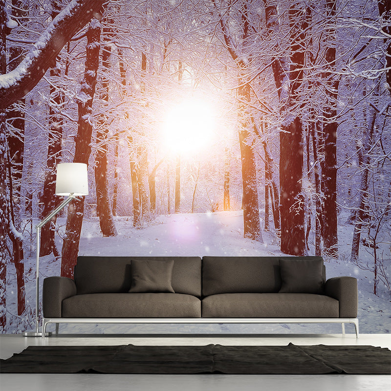 Photography Environment Friendly Mural Wallpaper Beautiful Forest Living Room Wall Mural
