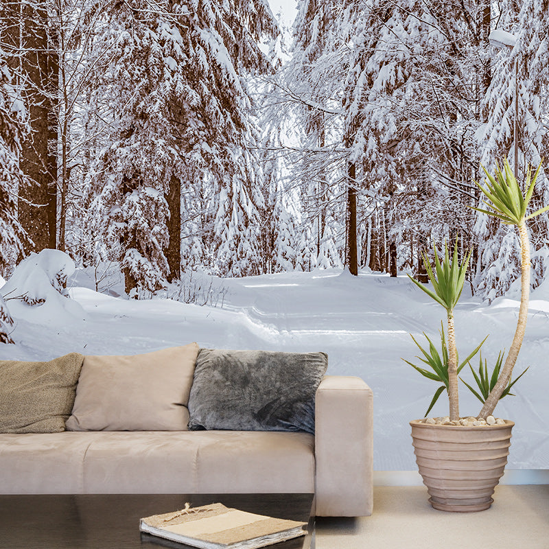 Photography Environment Friendly Mural Wallpaper Beautiful Forest Living Room Wall Mural