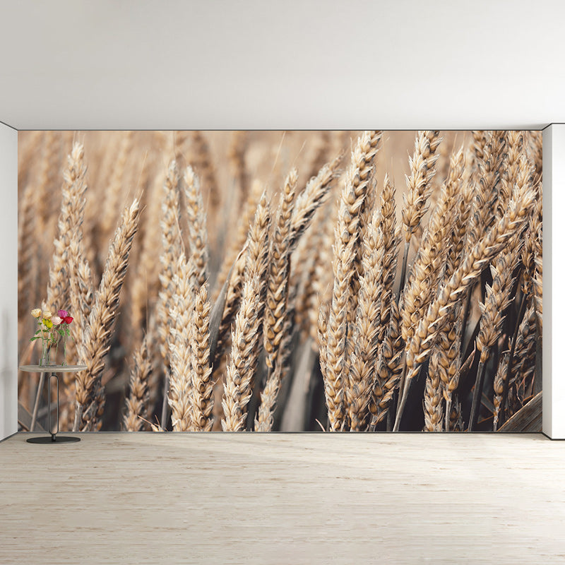 Wheat Field Mildew Resistant Wallpaper Photography Environmental Sleeping Room Wall Mural