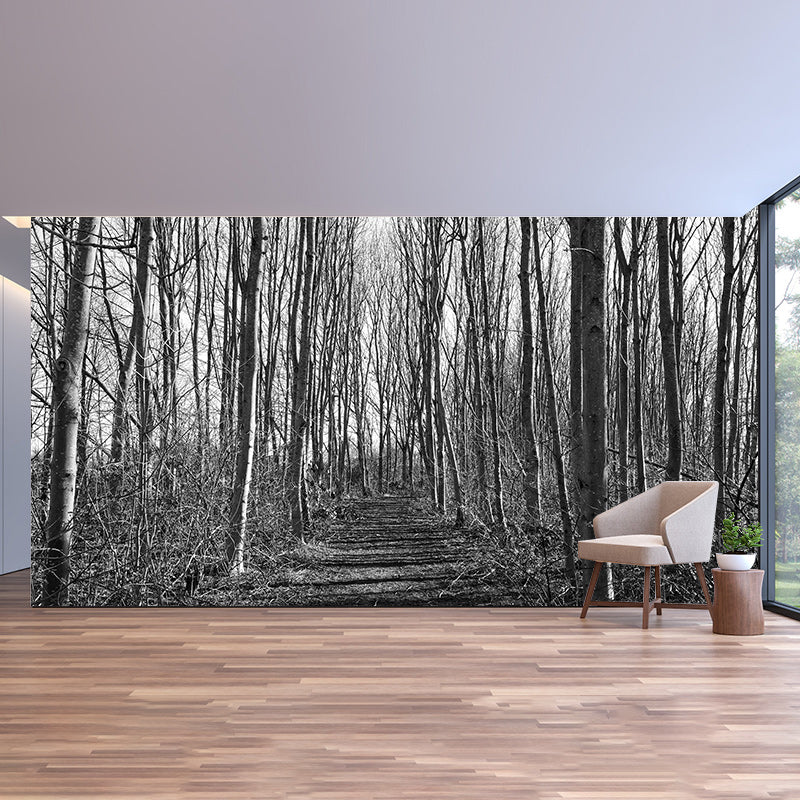 Photography Wall Mural Wallpaper Outdoor Path Living Room Wall Mural