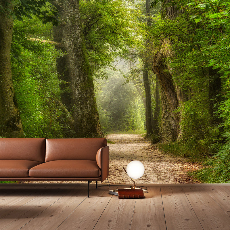Photography Wall Mural Wallpaper Outdoor Path Living Room Wall Mural