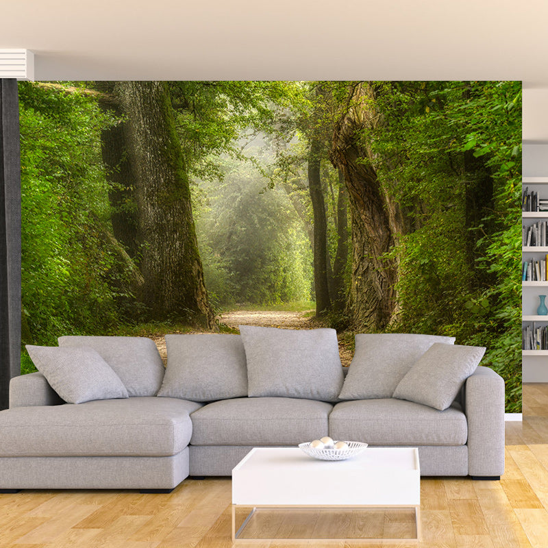 Photography Wall Mural Wallpaper Outdoor Path Living Room Wall Mural