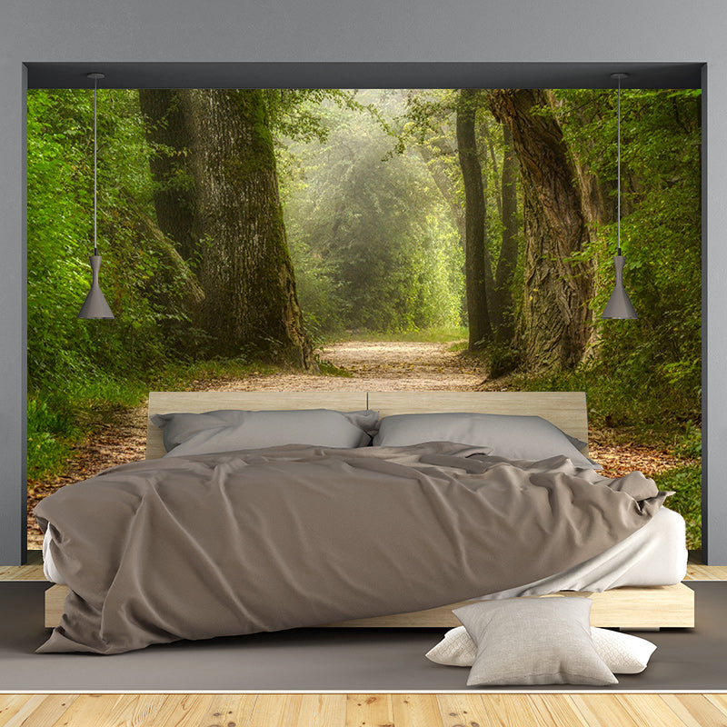 Photography Wall Mural Wallpaper Outdoor Path Living Room Wall Mural