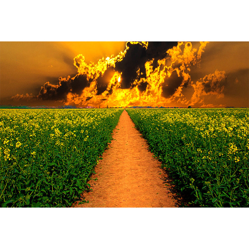 Photography Wall Mural Wallpaper Outdoor Path Living Room Wall Mural