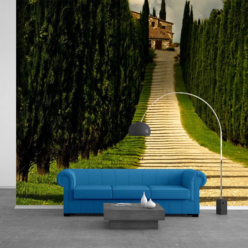 Photography Wall Mural Wallpaper Outdoor Path Living Room Wall Mural