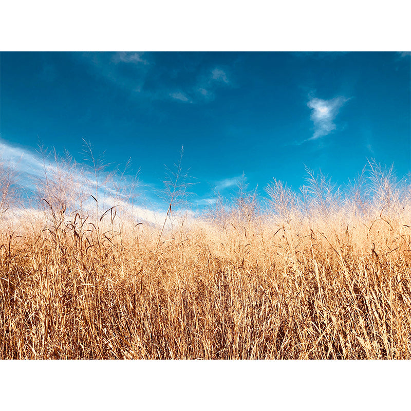 Wheat Field Resistant Mural Wallpaper Environment Friendly Sleeping Room Wall Mural