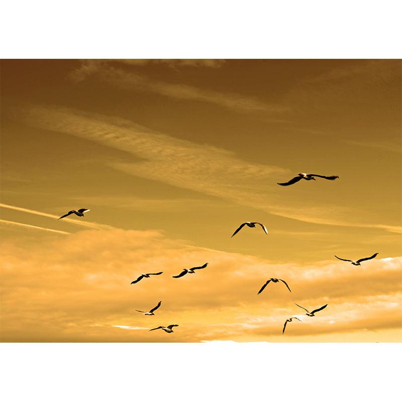 Eco-friendly Wall Mural Wallpaper Beautiful Sky Photography Sitting Room Wall Mural