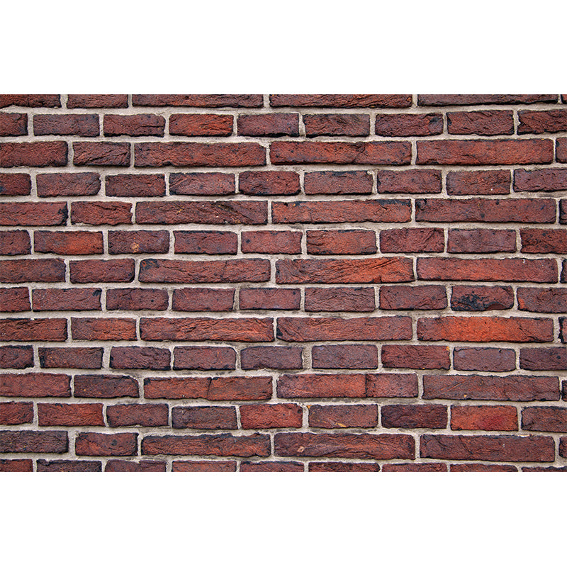 Brick Wall Environmental Mural Wallpaper Photography Indoor Wall Mural