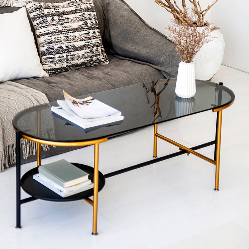 Modernism Elliptical Glass Top Coffee Cocktail Table with Shelf