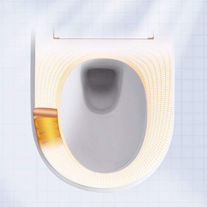 Contemporary 1-Piece Bidet Toilet Wall Mount Toilet Bowl for Washroom