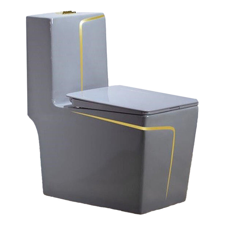 Traditional Floor Mounted Urine Toilet Siphon Jet Toilet Bowl with Toilet Seat