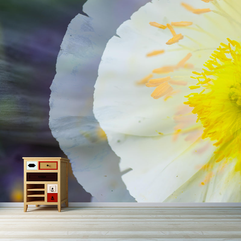 Illustration Mildew Resistant Mural Wallpaper Abstract Style Indoor Wall Mural