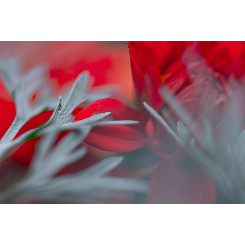 Illustration Mildew Resistant Mural Wallpaper Abstract Style Indoor Wall Mural