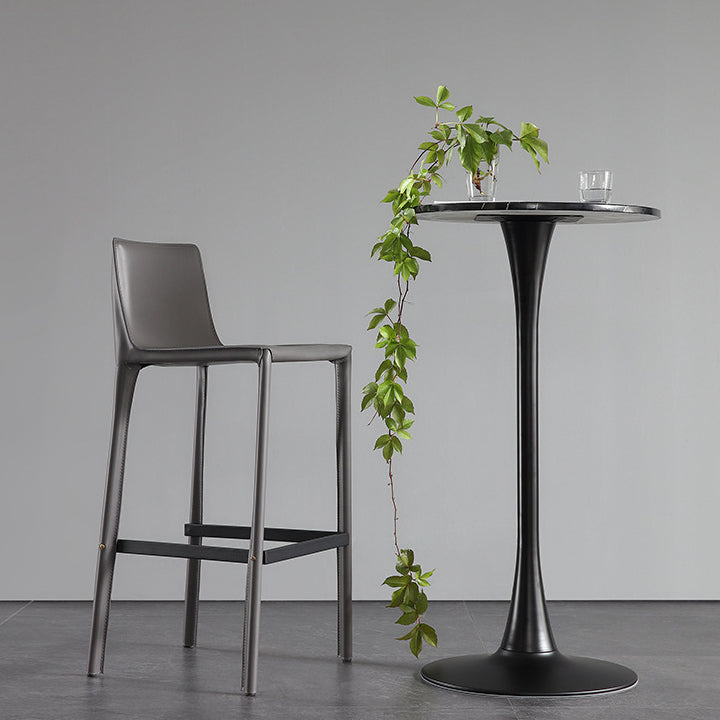 Contemporary Metal Bar Stool Backrest Counter Stool for Living Room