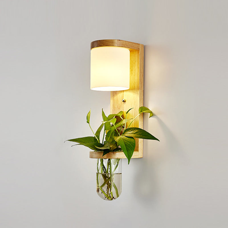 Modern Wooden Wall Sconce Simple Wall Light with Glass Shade without Plants