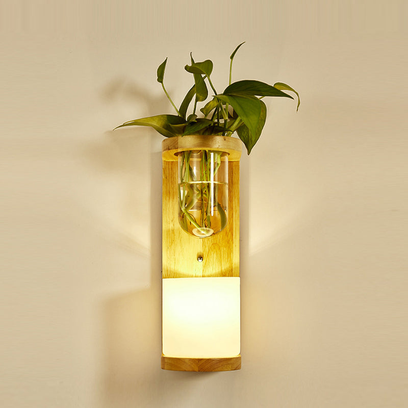 Modern Wooden Wall Sconce Simple Wall Light with Glass Shade without Plants