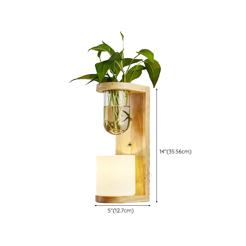 Modern Wooden Wall Sconce Simple Wall Light with Glass Shade without Plants