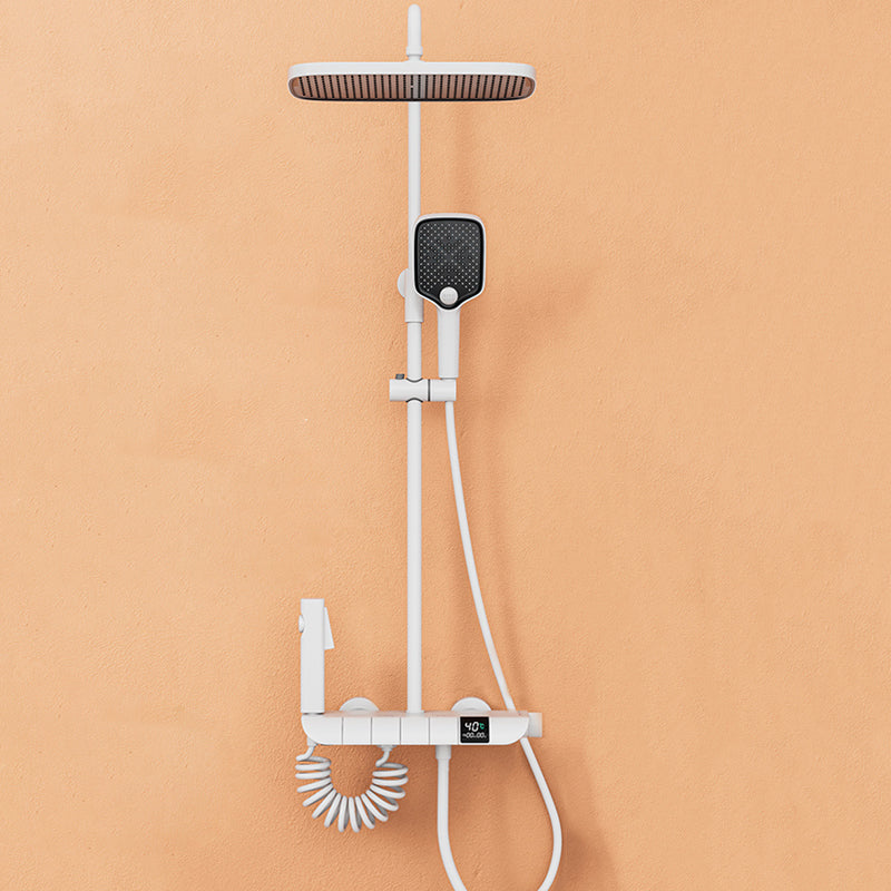 Wall Mounted Shower Arm Shower Faucet Metal Shower System with Slide Bar