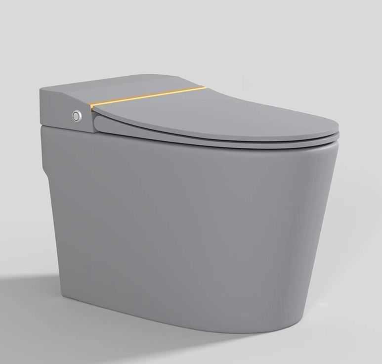 Modern Floor Mount Toilet Bowl Siphon Jet Skirted Toilet with Seat for Bathroom