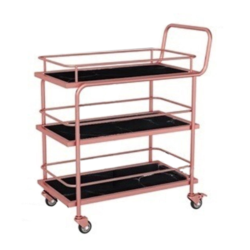 Contemporary Metal Prep Table 33.86"H Rolling Prep Table for Home Use