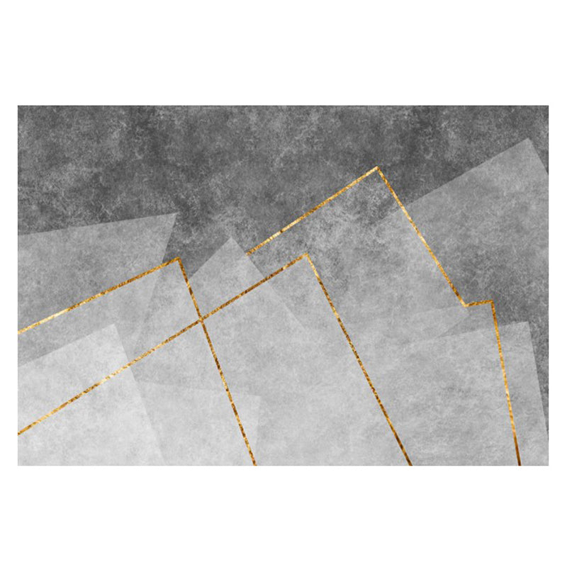 Gorgeous Grey Indoor Rug Polyester Graphic Rug Washable Rug for Home Decor