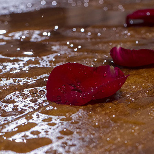 Scratch Resistant Laminate Floor Water-resistant Laminate Plank Flooring for Home