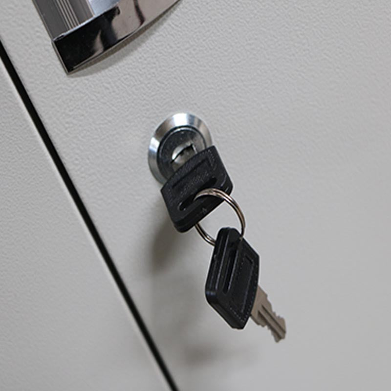 Modern Grey Cabinet with Hinged Doors Metal Storage Cabinet for Bathroom