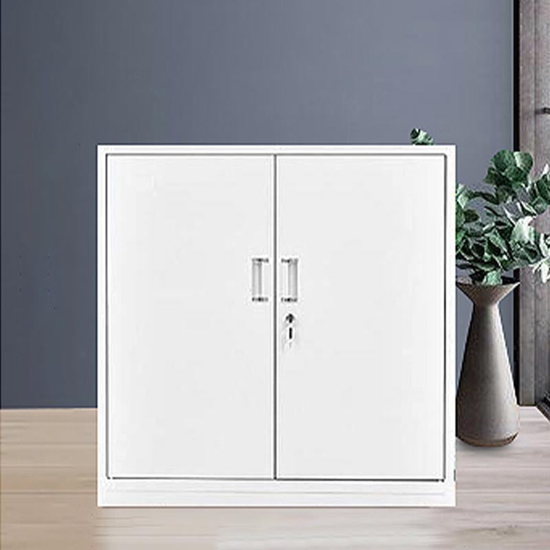 Modern Grey Cabinet with Hinged Doors Metal Storage Cabinet for Bathroom