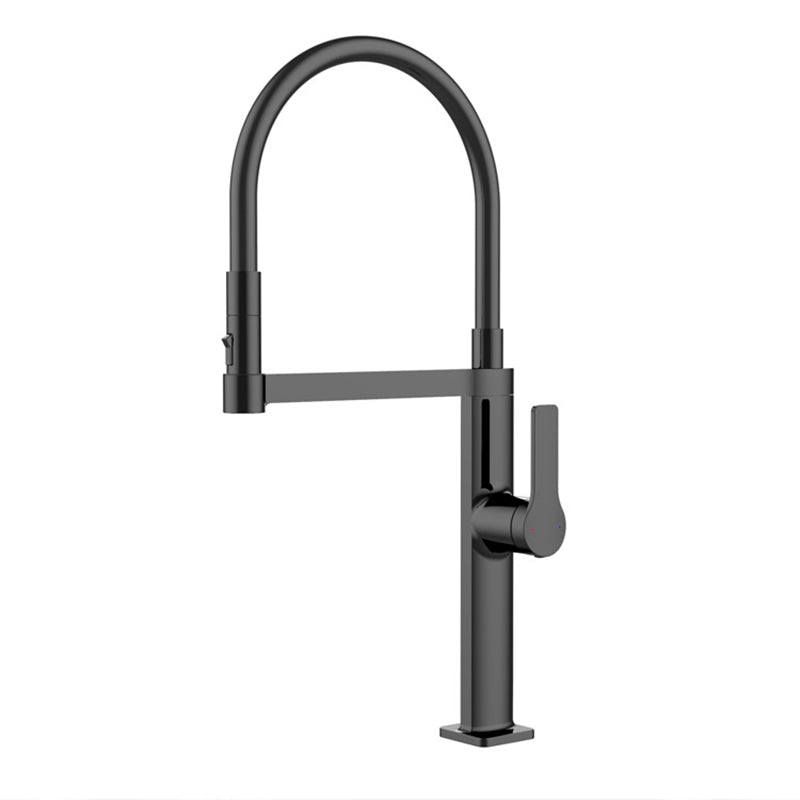 Modern Kitchen Sink Faucet Stainless Steel Single Handle High Arc Kitchen Faucet