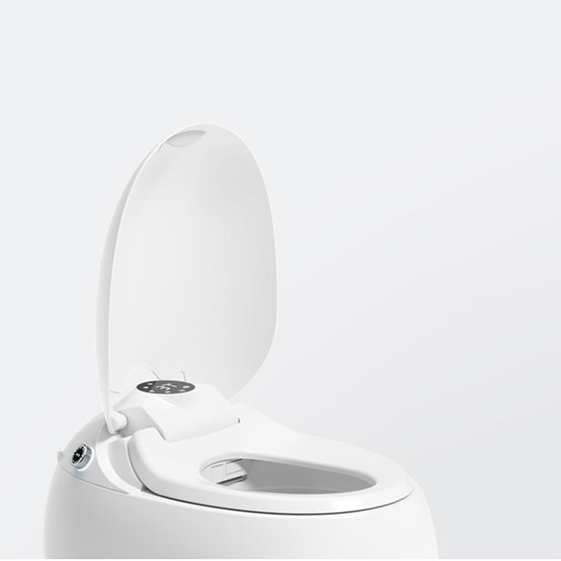 Modern 1-Piece Bidet Toilet Floor Mounted Toilet Bowl for Bathroom