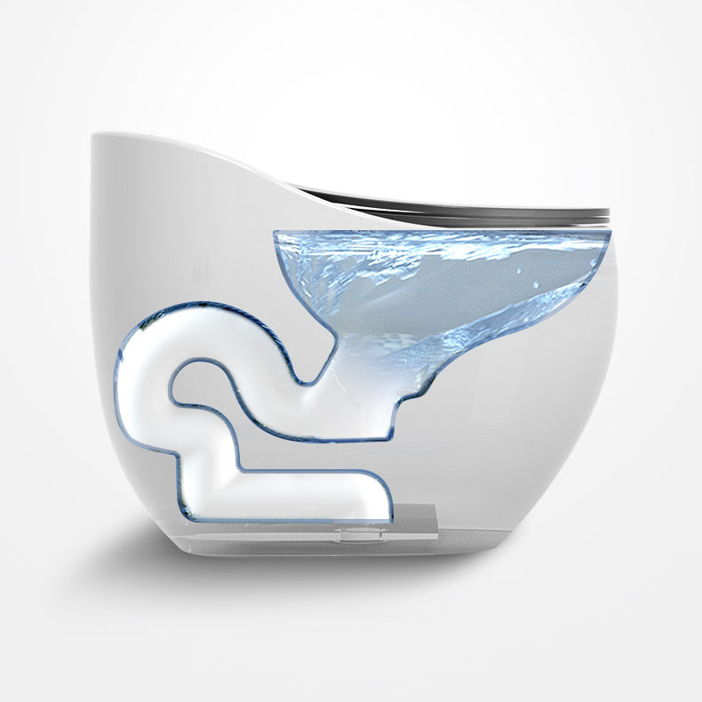 Siphon Jet Porcelain Toilet One Piece Toilet Floor Mounted Toilet Bowl