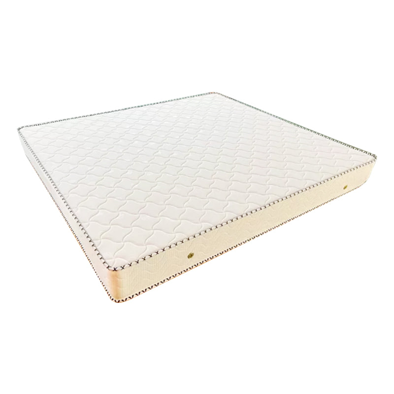 Modern Panel Bed White Faux Leather Standard Bed with Custom Gold Leg