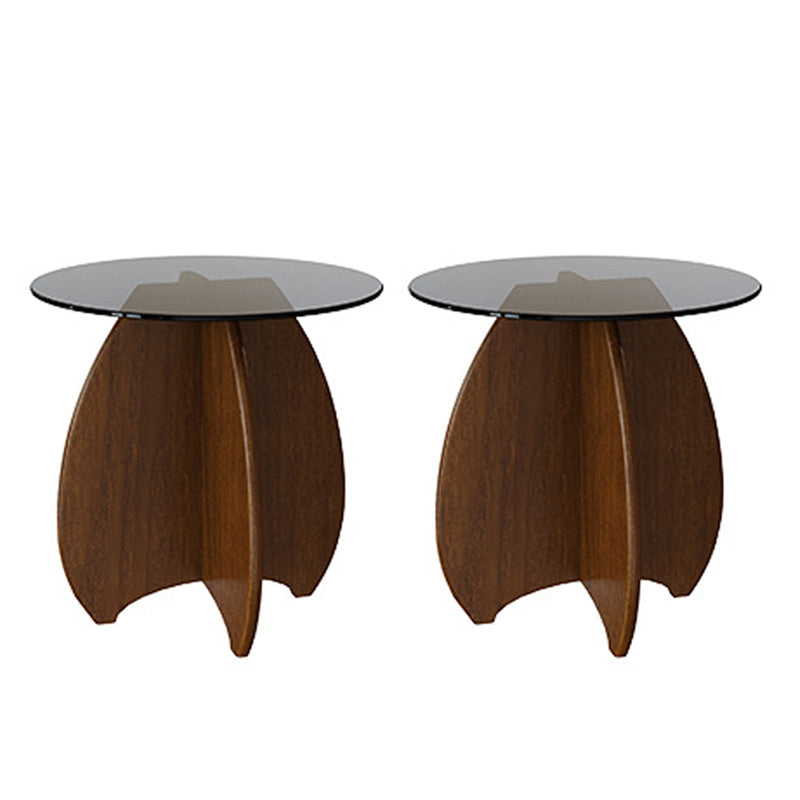 Round Shape Glass End Table Modern Home Sofa Side Table in Black