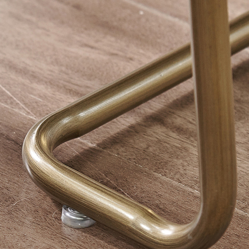 Arms Included Lounge Chair Living Room Chair with Gold Tone Legs