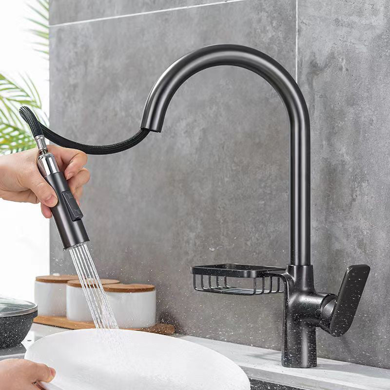 Modern 1-Handle Faucet Pull down with Water Dispenser Standard Kitchen Faucet