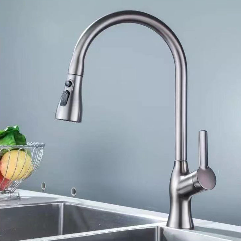 Modern 1-Handle Faucet Pull down with Water Dispenser Standard Kitchen Faucet