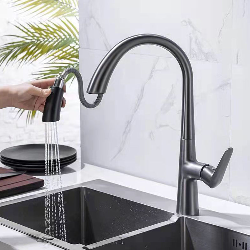 Modern 1-Handle Faucet Pull down with Water Dispenser Standard Kitchen Faucet