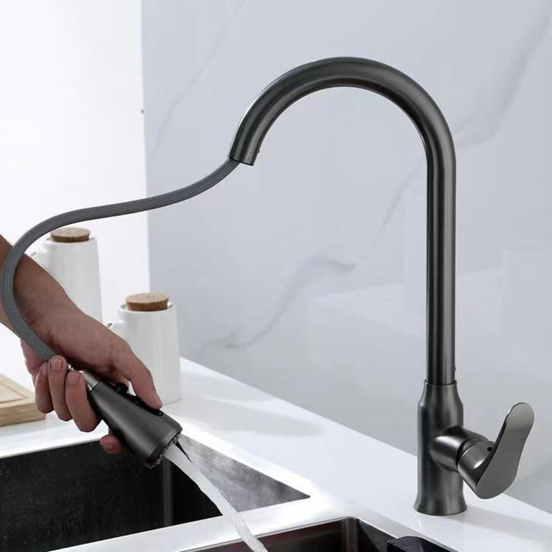 Modern 1-Handle Faucet Pull down with Water Dispenser Standard Kitchen Faucet