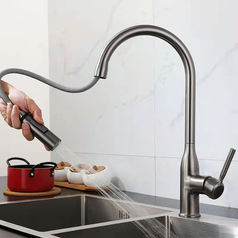 Modern 1-Handle Faucet Pull down with Water Dispenser Standard Kitchen Faucet