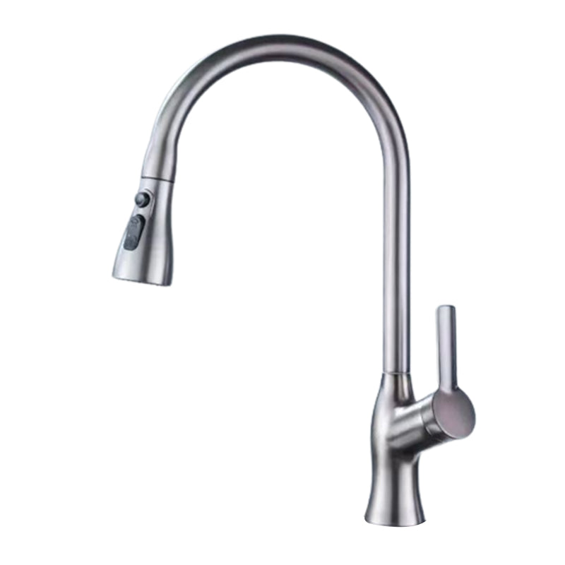 Modern 1-Handle Faucet Pull down with Water Dispenser Standard Kitchen Faucet