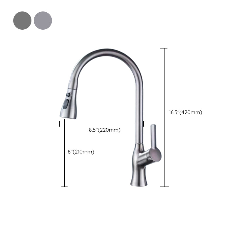 Modern 1-Handle Faucet Pull down with Water Dispenser Standard Kitchen Faucet