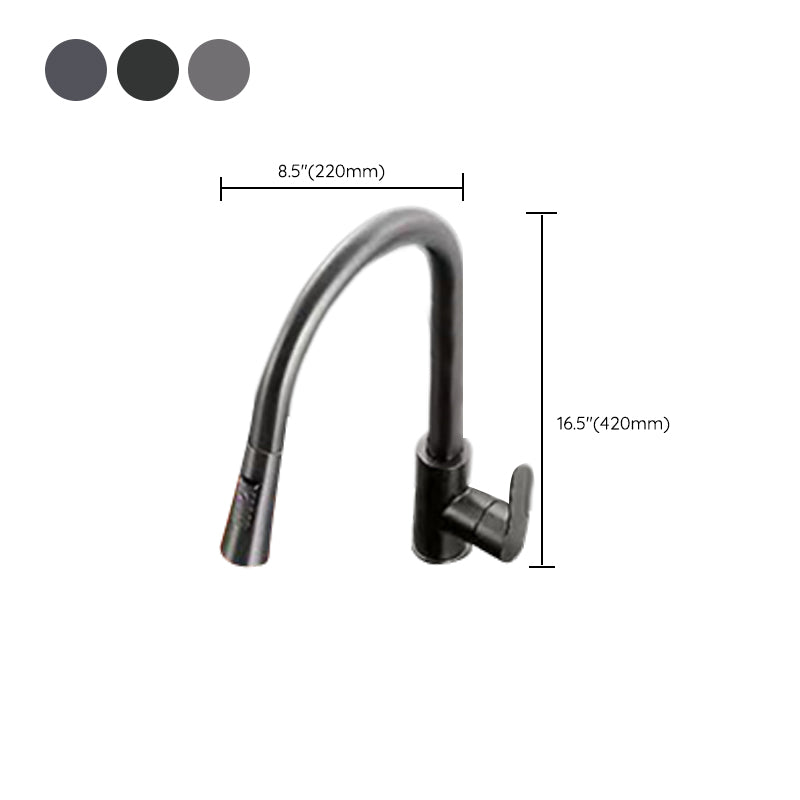Modern 1-Handle Faucet Pull down with Water Dispenser Standard Kitchen Faucet