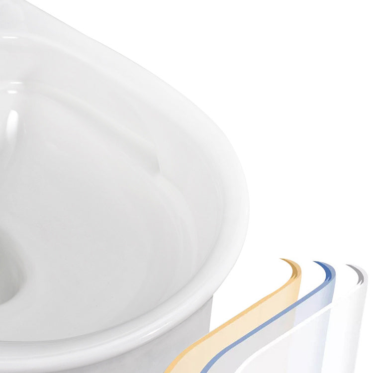 Modern White Flush Toilet Ceramic Elong One-Piece Toilet with Slow Close Seat