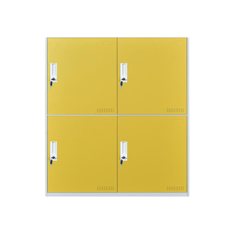 Indoor Non-Hanging Cabinet Contemporary Hinged Door Storage Cabinet